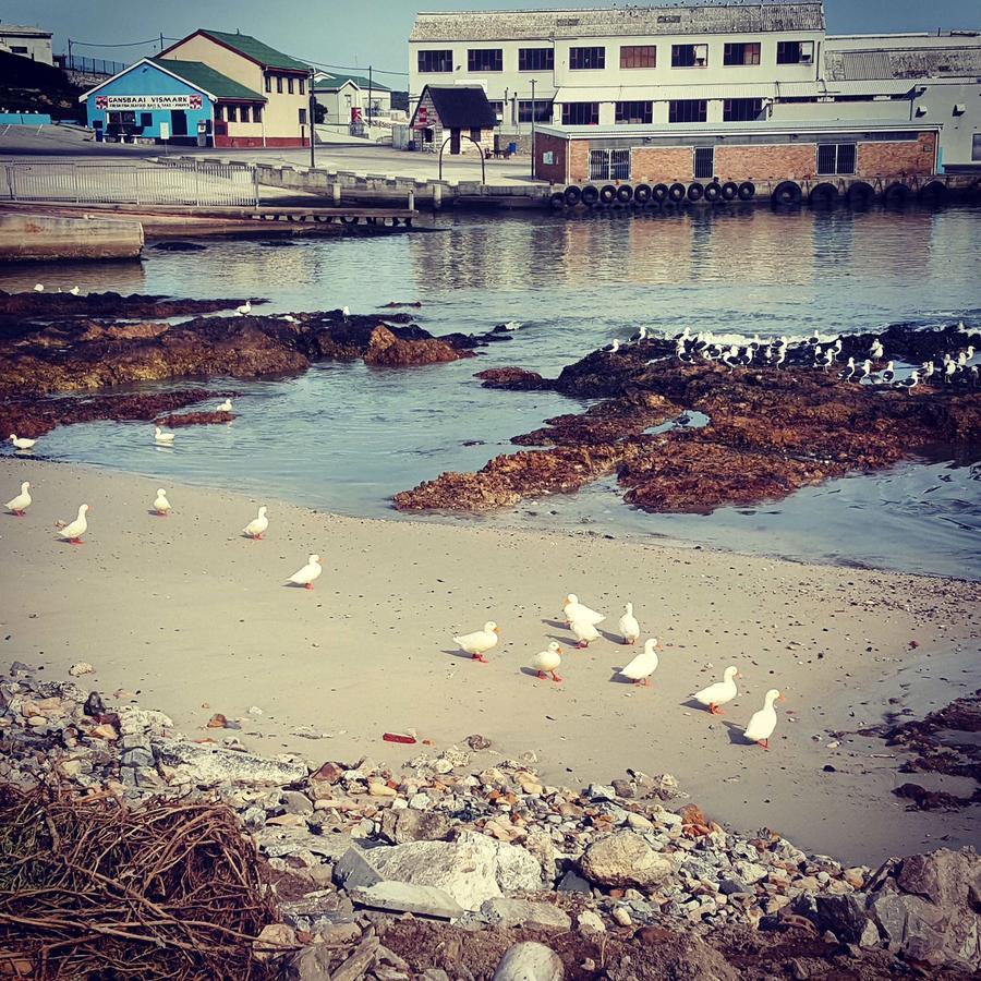 Fairview Accommodation Gansbaai Luaran gambar